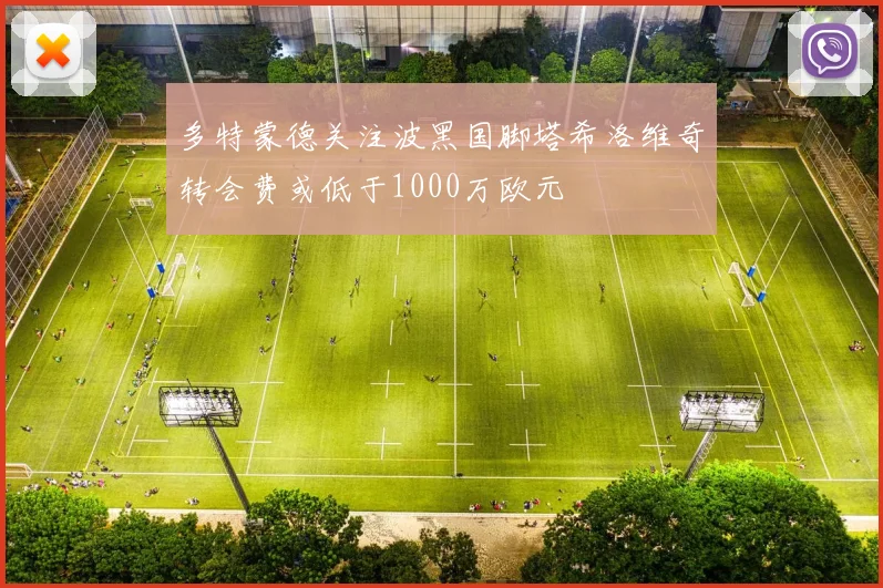 多特蒙德关注波黑国脚塔希洛维奇转会费或低于1000万欧元