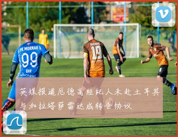 英媒报道厄德高经纪人未赴土耳其与加拉塔萨雷达成转会协议